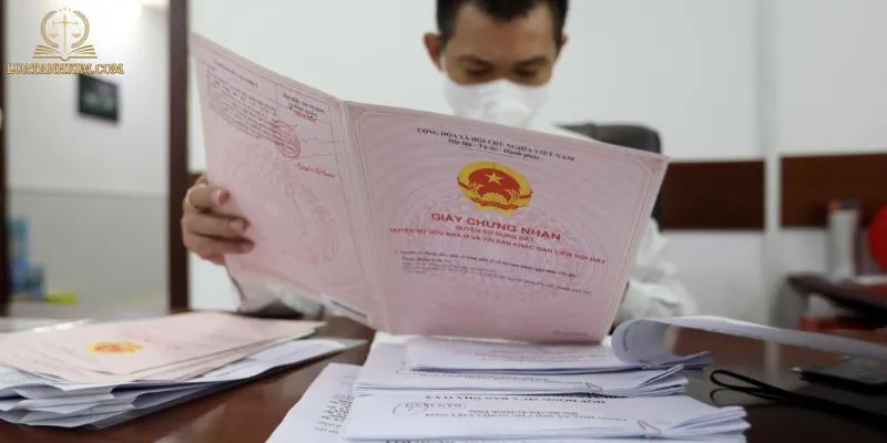 Các Hình Thức Tranh Chấp Cổ Đông Thường Gặp