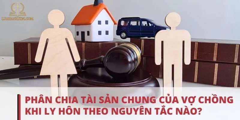 Các Trường Hợp Phân Chia Tài Sản Chung Thường Gặp