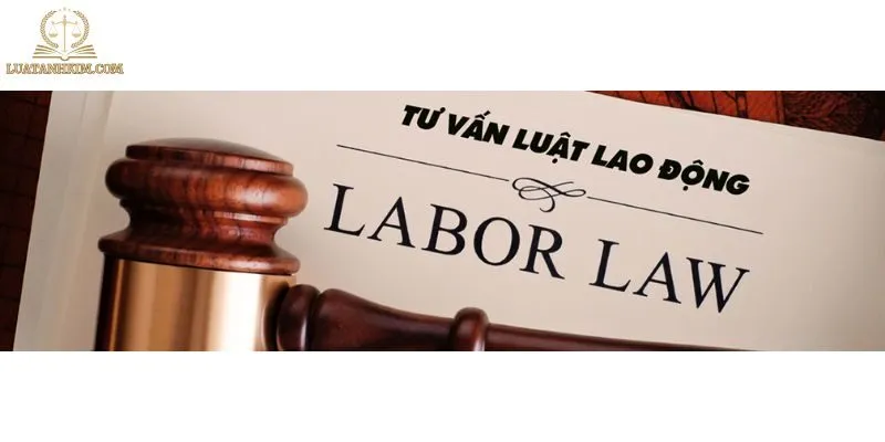 Khi Nào Cần Tư Vấn Pháp Luật Lao Động?