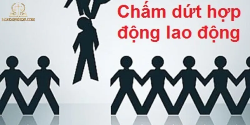 Lưu Ý Khi Chấm Dứt Hợp Đồng Để Tránh Rủi Ro Pháp Lý