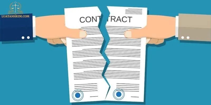 Nguyên Nhân Phổ Biến Dẫn Đến Tranh Chấp Cổ Đông