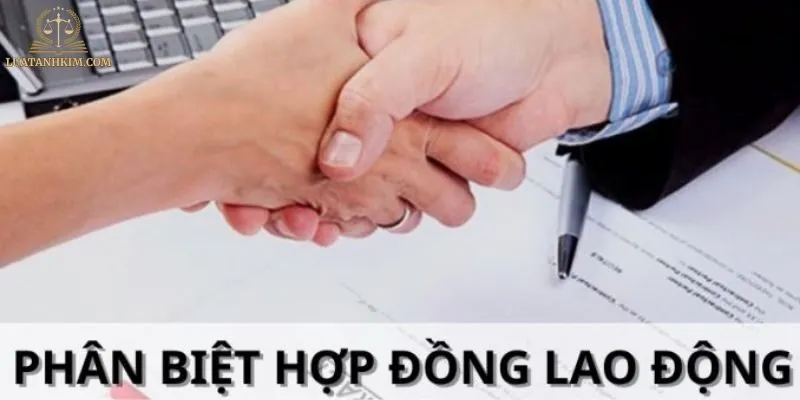 Phân biệt thử việc và hợp đồng lao động