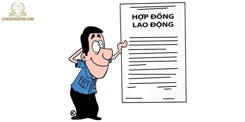 Quy định pháp luật về thử việc và hợp đồng lao động